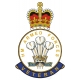 RRW Royal Regiment Of Wales HM Armed Forces Veterans Sticker